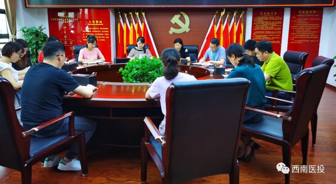 西南醫(yī)投集團(tuán)第二黨支部開展“逐夢起新航，習(xí)近平寄語青年”黨課活動(dòng)