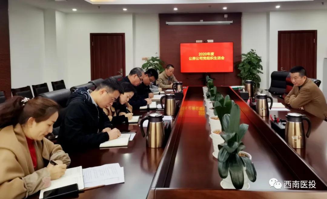 西南醫(yī)投集團各基層黨支部召開2020年度組織生活會、開展民主評議黨員工作